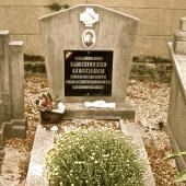 Grave of Theophile DE VEIRMAN