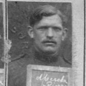 Photo of Petrus Laurent MERCKX