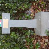 Grave of Adamo GAUDENZI
