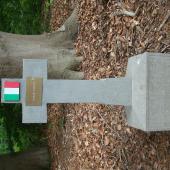 Grave of Guiseppe GARGIANI