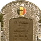Graf van Alphonsus Constantinus Bernardus VAN WICHELEN