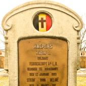 Grave of Henricus Ludovicus HAEPERS