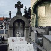 Grave of Georges Jules Celeste BOVY