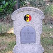 Graf van Armand VAN BERGEN