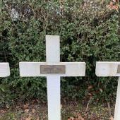 Graf van Rene Auguste DESSART