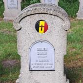 Graf van Dominique DILLIEN