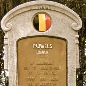Grave of Ludovicus PAUWELS