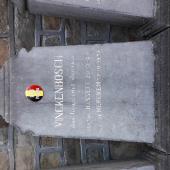 Graf van Jan Guilielmus Julianus VINCKENBOSCH