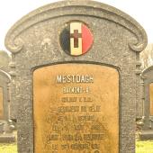 Grave of Raymondus Alphonsus MESTDAGH