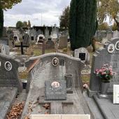 Graf van Georges, A. JOASSIN