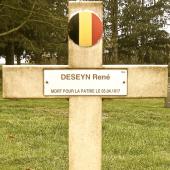 Graf van René Jozef DESEYN