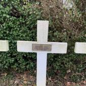 Graf van Louis COCAIKO