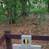 Graf van Jacques Elisabeth Albert SCHOL