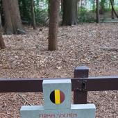 Grave of Firminus Silvinus SOENEN