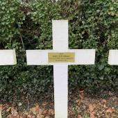 Grave of Albert NOLLER