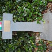 Graf van Angelo BERATE