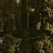 Grave of Victor Josephus GARREYN
