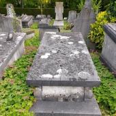 Grave of Petrus Joseph Louis Ghislenus ENTE
