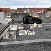 Graf van Julien Joseph Ernest JACOBS